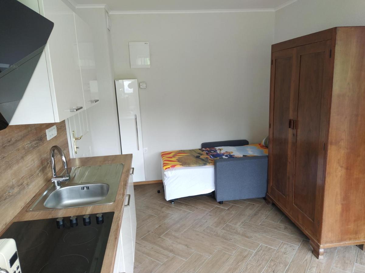 דולנז'סקה טופליסה Apartmaji Maln מראה חיצוני תמונה
