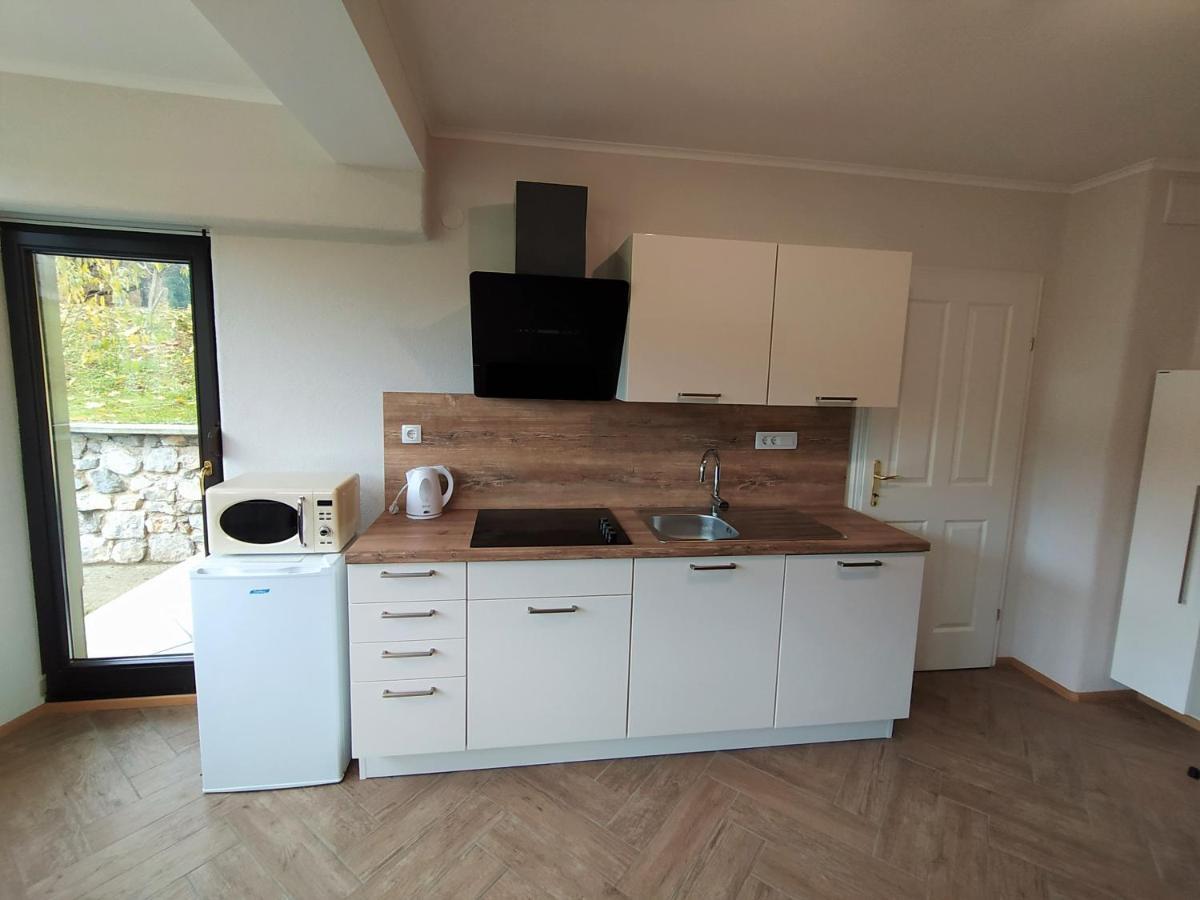 דולנז'סקה טופליסה Apartmaji Maln מראה חיצוני תמונה